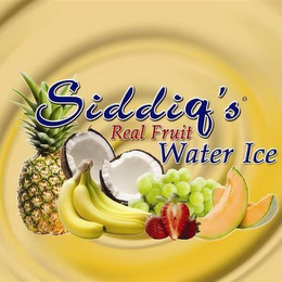 SIDDIQS REAL FRUIT WATER ICE logo