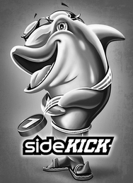 SIDEKICK 7 logo