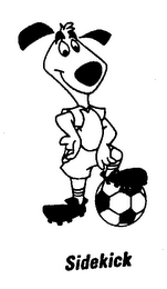 SIDEKICK logo