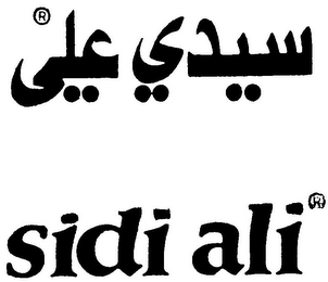 SIDI ALI logo