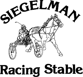 SIEGELMAN RACING STABLE 8 logo