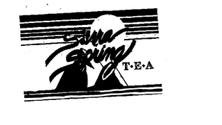 SIERRA SPRING T.E.A. logo