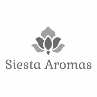 SIESTA AROMAS logo
