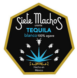 SIETE MACHOS URANIA TEQUILA BLANCO 100%AGAVE HECHO EN MÉXICO logo
