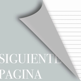 SIGUIENTE PÁGINA logo