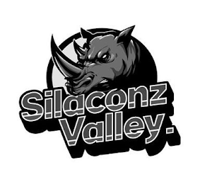 SILACONZ VALLEY. logo