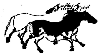 SILENT SPIRIT logo