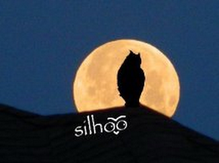 SILHOO logo