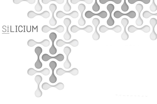 SILICIUM logo