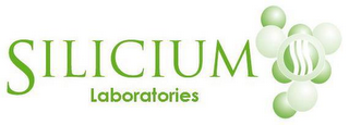 SILICIUM LABORATORIES logo