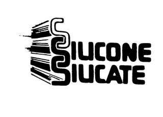 SILICONE SILICATE logo