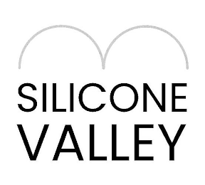 SILICONE VALLEY