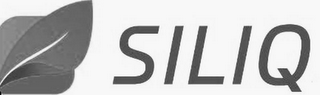 SILIQ logo