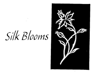 SILK BLOOMS