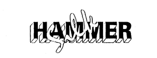 SILK HAMMER logo