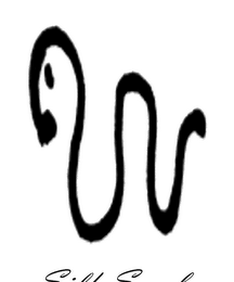 SILK SCRUBS logo