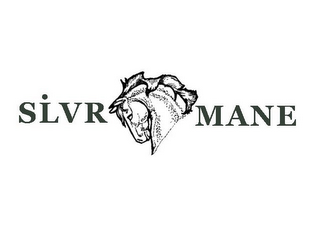 SILV MANE logo