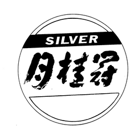 SILVER logo