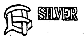 SILVER logo