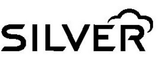SILVER logo