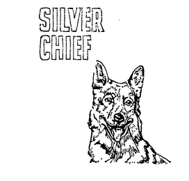 SILVER CHIEF logo