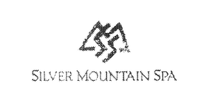 SILVER MOUNTAIN SPA logo