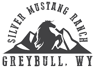 SILVER MUSTANG RANCH GREYBULL, WY logo
