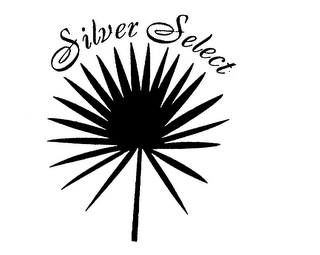 SILVER SELECT logo