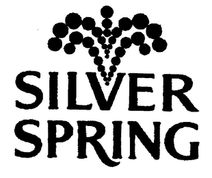 SILVER SPRING logo
