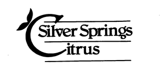 SILVER SPRING CITRUS logo