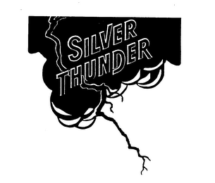 SILVER THUNDER logo