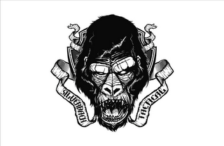 SILVERBACK TACTICAL logo
