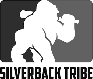 SILVERBACK TRIBE logo