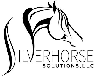SILVERHORSE SOLUTIONS, LLC logo
