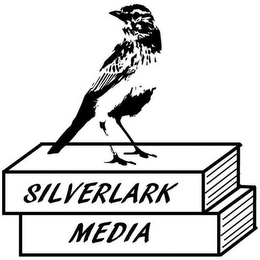 SILVERLARK MEDIA logo