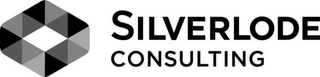 SILVERLODE CONSULTING logo