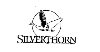 SILVERTHORN logo