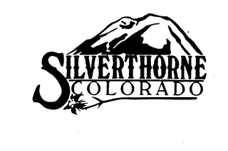 SILVERTHORNE COLORADO logo