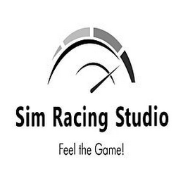 SIM RACING STUDIO FEEL THE GAME! logo