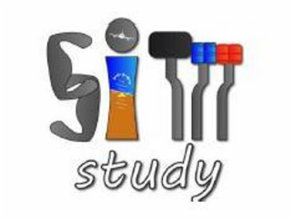 SIM STUDY