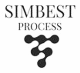 SIMBEST PROCESS logo