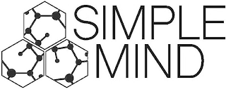 SIMPLE MIND logo
