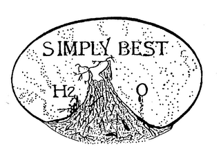 SIMPLY BEST H2O logo