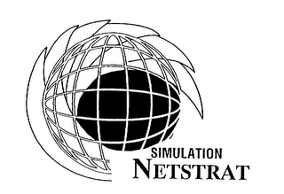 SIMULATION NETSTRAT logo
