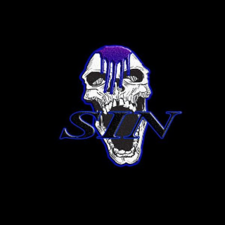 SIN logo