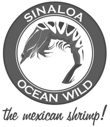 SINALOA OCEAN WILD THE MEXICAN SHRIMP! logo