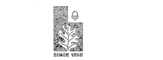 SINCE 1888 logo