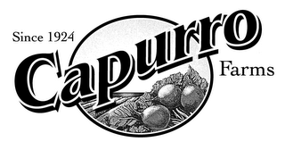 SINCE 1924 CAPURRO FARMS logo