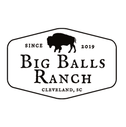 SINCE 2019 BIG BALLS RANCH CLEVELAND, SC logo