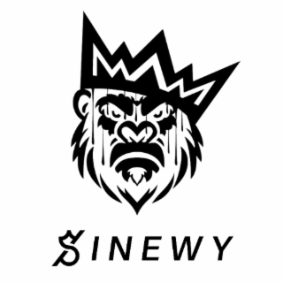 SINEWY logo